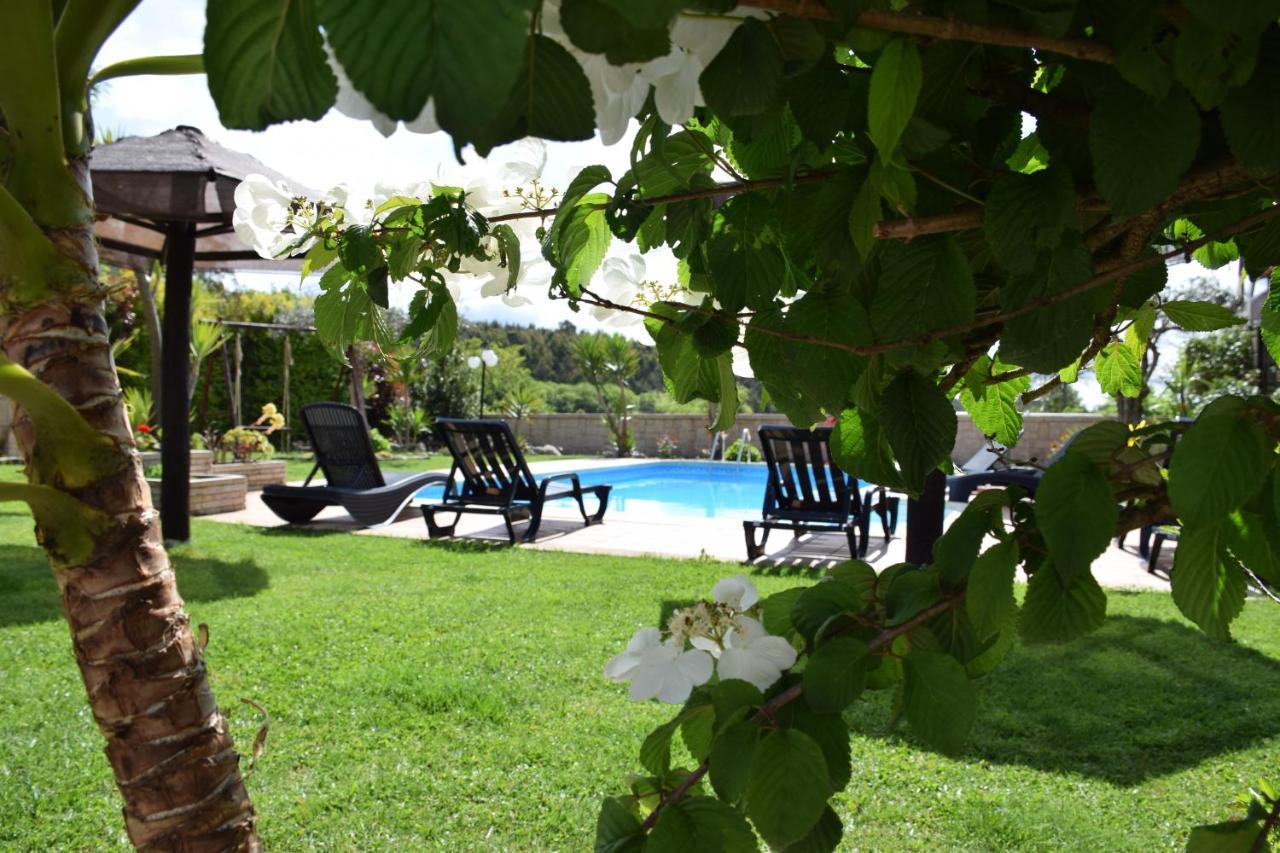 Alagoas4Family - Country House Арока Екстериор снимка